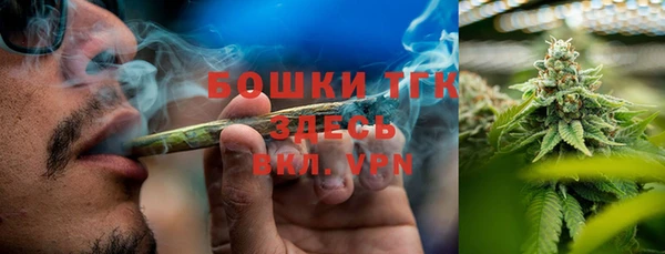 спиды Новодвинск