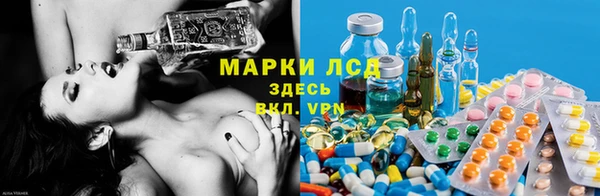 спиды Новодвинск