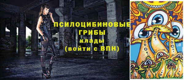 спиды Новодвинск