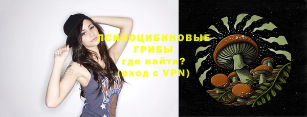 крисы Нефтегорск