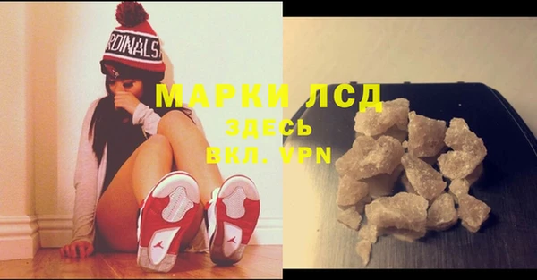 спиды Новодвинск
