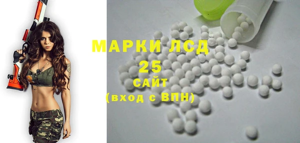 спиды Новодвинск
