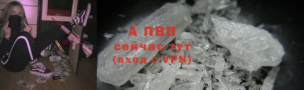 спиды Новодвинск