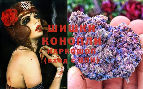 соль ск Новокубанск