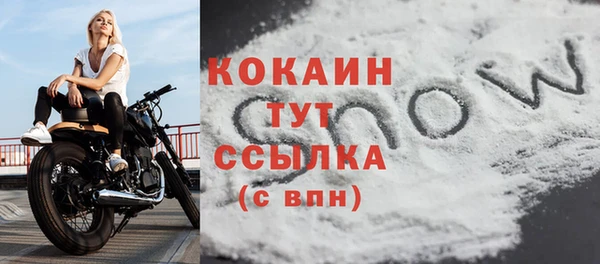 соль ск Новокубанск