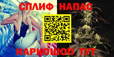 spice Донецк
