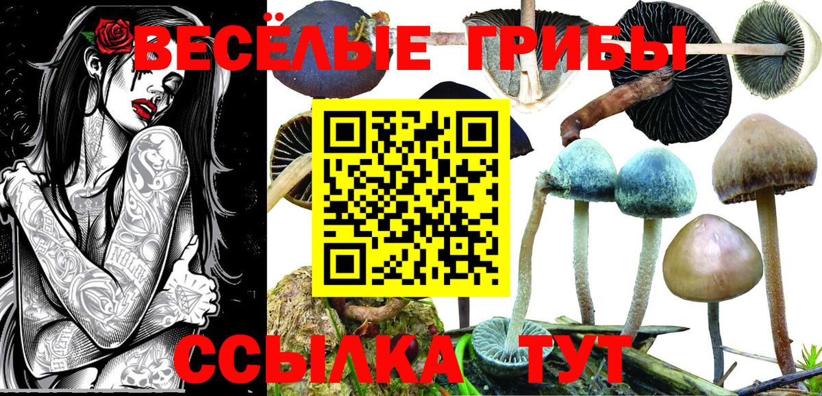 Псилоцибиновые грибы GOLDEN TEACHER Стрежевой