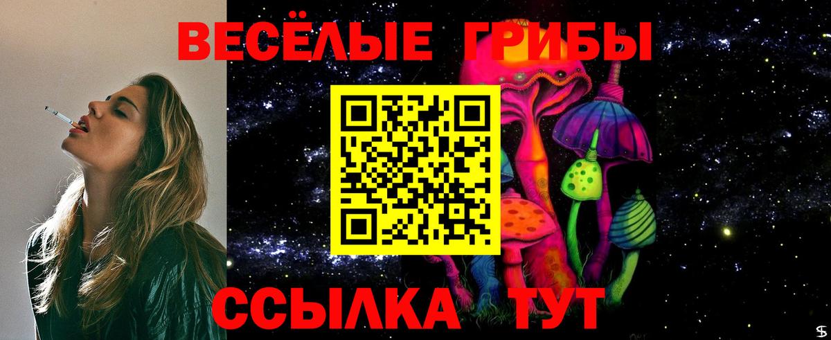 Галлюциногенные грибы Psilocybine cubensis  Вход с VPN  Стрежевой 