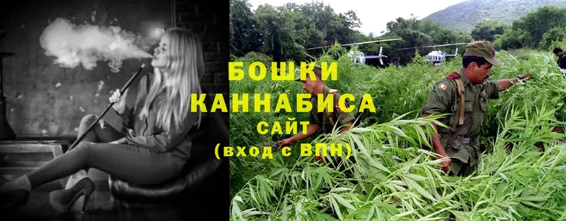 Бошки Шишки SATIVA & INDICA  Стрежевой 